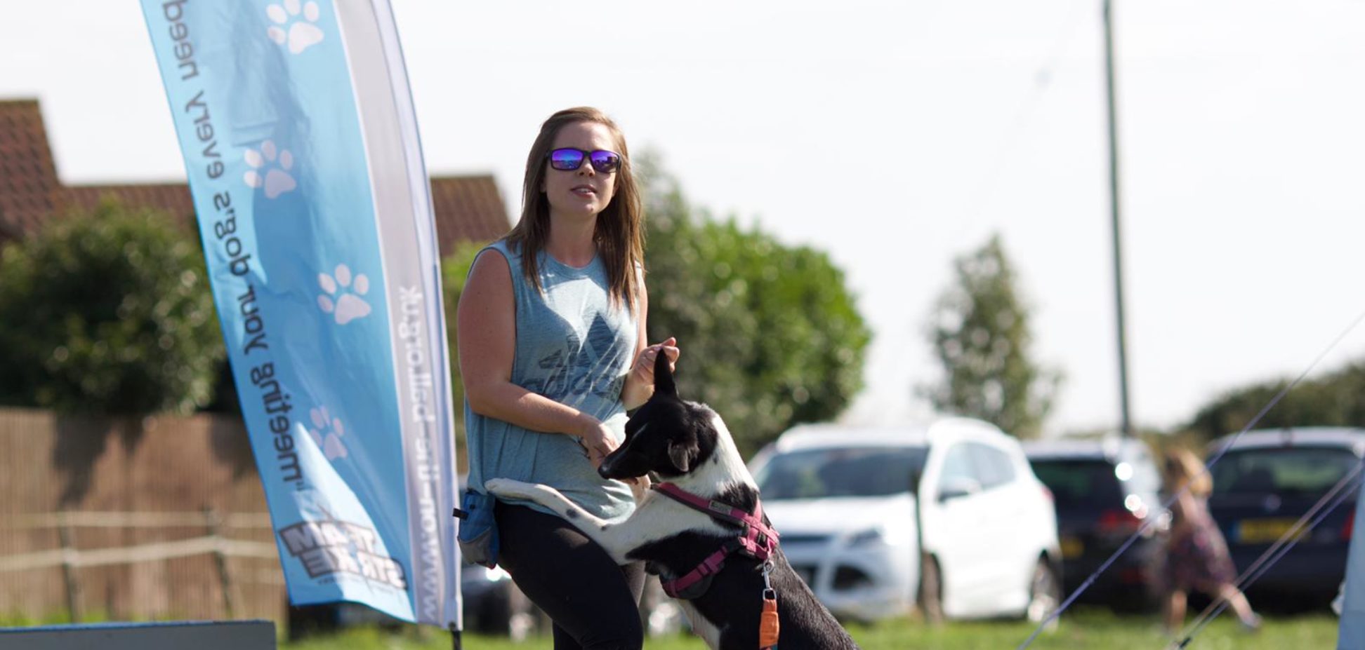 Dog training one to one Dog Training and Dog Trainer Puppy Classes Bourne, Peterborough, Lincolnshire, Stamford