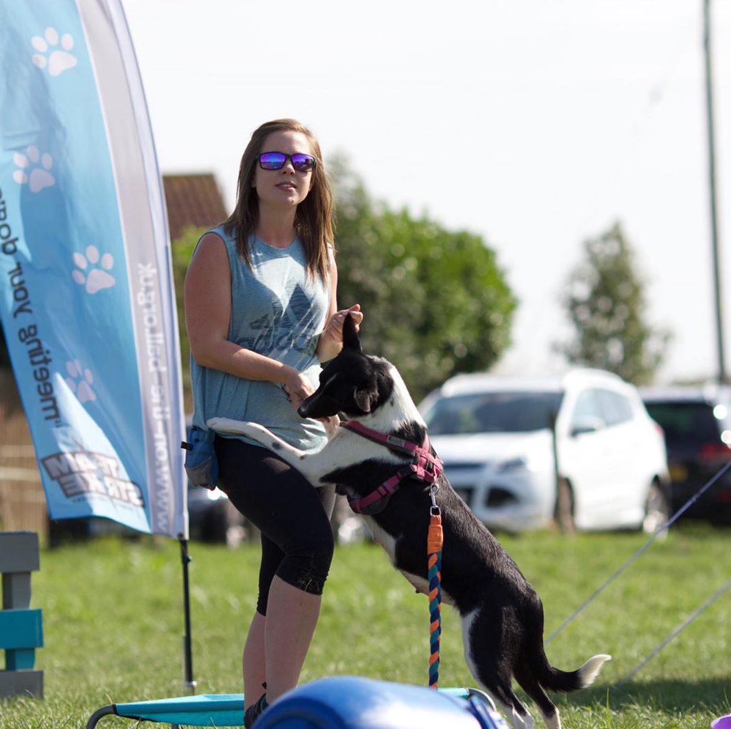 Dog training one to one Dog Training and Dog Trainer Puppy Classes Bourne, Peterborough, Lincolnshire, Stamford